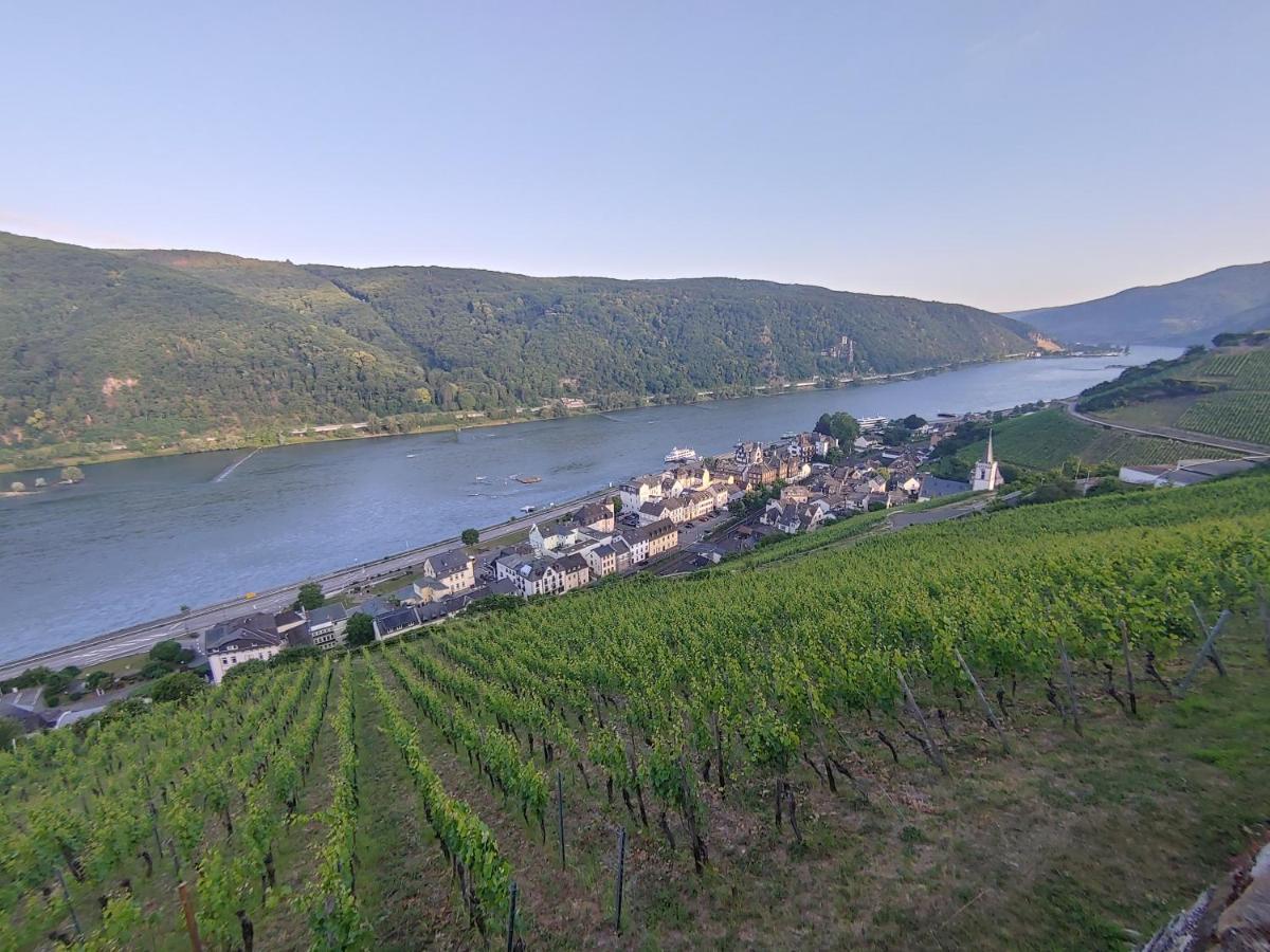 Hotel Berg´s Backpacker Rüdesheim am Rhein Exterior foto